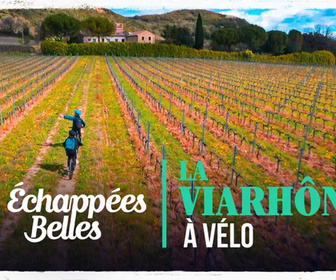 Replay Échappées belles - La ViaRhôna à vélo