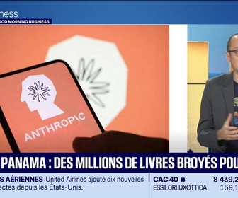 Replay Culture IA : Projet Panama, des millions de livres broyés pour l'IA, par Anthony Morel - 26/08