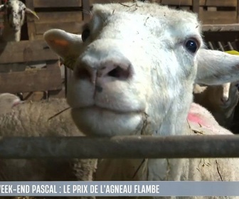 Replay Le 1245 du 17/04/2025