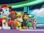 Replay Paw Patrol, la Pat'Patrouille - Sauvetage en mer