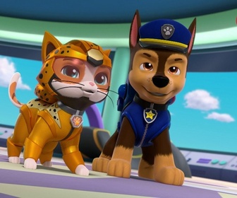 Replay Paw Patrol, la Pat'Patrouille - Super Chats : le coffre-fort de Madame Goodway