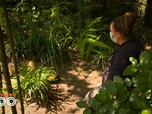 Replay Une saison au zoo - S14 E15
