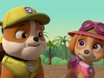 Replay Paw Patrol, la Pat'Patrouille - Travis dans la jungle