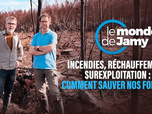 Replay Le monde de Jamy - Incendies, réchauffement, surexploitation : comment sauver nos forêts ?