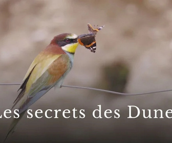 La France en Vrai replay