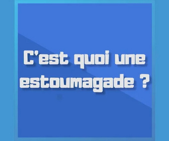 Parlez-vous le sud ? replay