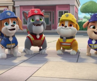 Replay Ruben & cie - Les chatons de Carl