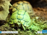 Replay Les dossiers d'ICI - Le parc zoologique de Paris