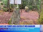 Replay Les longs formats des Locales - L'Alsace à l'époque des Celtes et des Gaulois