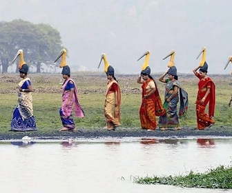 Replay Les femmes au secours du marabout argala - Inde, la brigade des cigognes