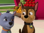 Replay Paw Patrol, la Pat'Patrouille - Mission Tout-Terrain : Les véhicules ont disparu !