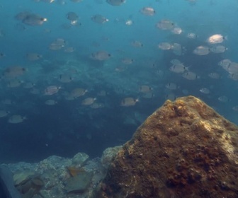 Replay Trésors sous les mers - La cité perdue d'Egypte