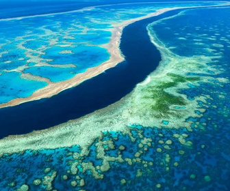 Replay Queensland, l'Australie tropicale