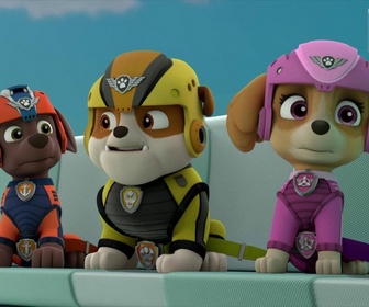 Replay Paw Patrol, la Pat'Patrouille - La Reine Cot-Cot
