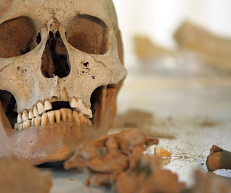 Replay Indices - Un cadavre dans le cimetière : L'affaire Frédéric Butanowicz