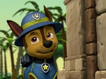 Replay Paw Patrol, la Pat'Patrouille - Un labyrinthe au milieu de la jungle