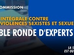Replay La séance est ouverte ! - Loi intégrale contre les violences sexistes et sexuelles : table ronde d'experts - 16/09/2026