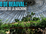 Replay Zoo de Beauval : au coeur de la machine