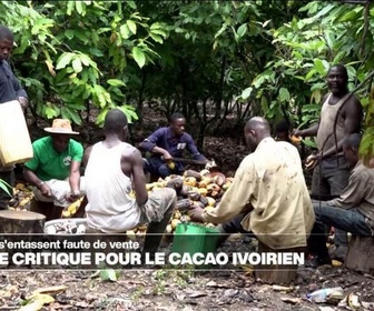 Replay Journal de l'Afrique - Côte d'Ivoire : la filière cacao dans une situation critique avec la chute des ventes