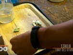Replay Une saison au zoo - S12 E12