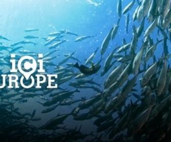 Replay Ici l'Europe - Comment les Européens veulent protéger les océans