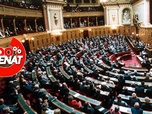 Replay 100% Sénat - Budget : le Sénat allège l'effort demandé aux collectivités territoriales
