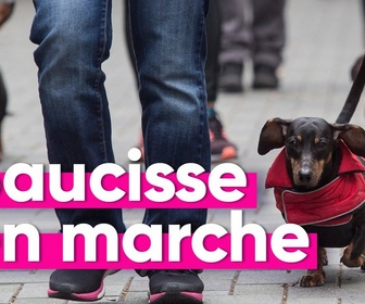 Replay Top Info - Marche des saucisses : défilé de mode et grande cause