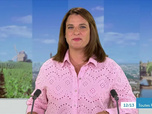 Replay ICI 12/13 édition toutes régions