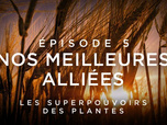 Replay Les superpouvoirs des plantes - 02/03/2026