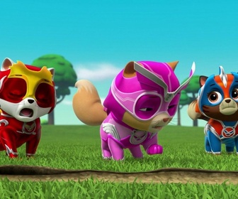 Replay S00 E04 - Compilation Paw Patrol, la Pat'Patrouille 4