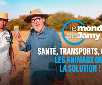 Replay Le monde de Jamy - 27/10/2025