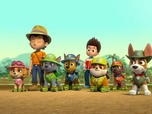 Replay Paw Patrol, la Pat'Patrouille - La plante carnivore