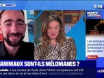 Replay Le Dej Info - Comment les chauffeurs de taxis réagissent-ils aux propos de François Bayrou ? - BFMTV répond à vos questions