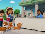 Replay Compilation Paw Patrol, la Pat'Patrouille 37