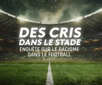 Replay Des cris dans le stade, enquête sur le racisme dans le football