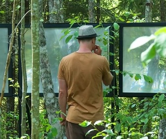 Replay Wild Bits : exposition tech-art en pleine nature