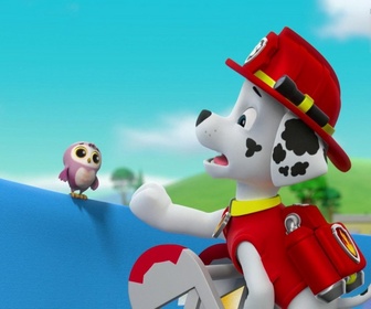 Replay Paw Patrol, la Pat'Patrouille - La grande roue