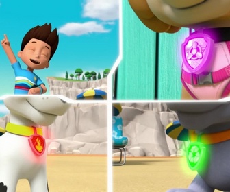 Replay Paw Patrol, la Pat'Patrouille - La Pat'Patrouille des Mers sauve un narval