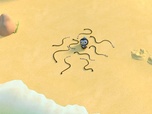 Replay Les Octonauts et les serpents de mer à ventre jaune