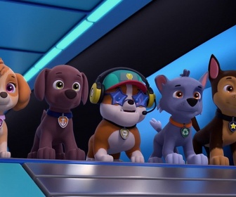 Replay Paw Patrol, la Pat'Patrouille - La soirée cinéma