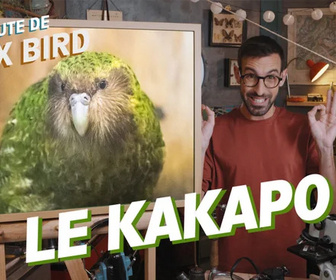 Replay La minute de Max Bird - Le Kakapo