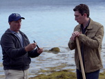 Replay Le mystère d'Oak Island : la course au trésor - S7E2 - Secrets en eaux troubles partie 2