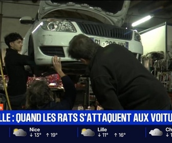 Replay BFM Première prématinale - Focus Régions - 07/11