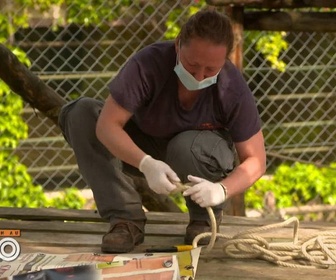 Replay Une saison au zoo - S13 E49