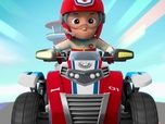 Replay Paw Patrol, la Pat'Patrouille - Un abri pour la nuit