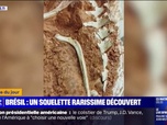 Replay L'image du jour - Brésil: des archéologues découvrent un squelette de dinosaure qui aurait 233 millions d'années