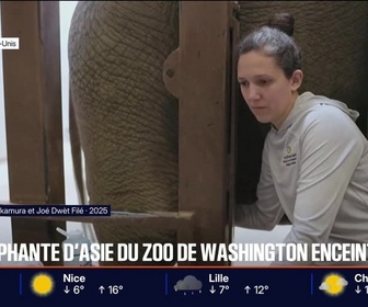 Replay BFM Première prématinale - Le break du vendredi 28 novembre