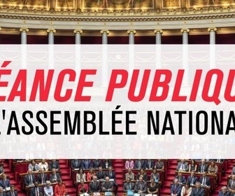 Replay En séance - Séance publique à l'Assemblée nationale - Report des élections provinciales de Nouvelle-Calédonie: examen de la proposition de loi- 30/10/2024