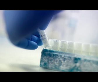 Replay Les banques de sperme danoises rejettent-elles les donneurs aux QI trop faibles ?