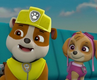 Replay Paw Patrol, la Pat'Patrouille - Les bébés autruches